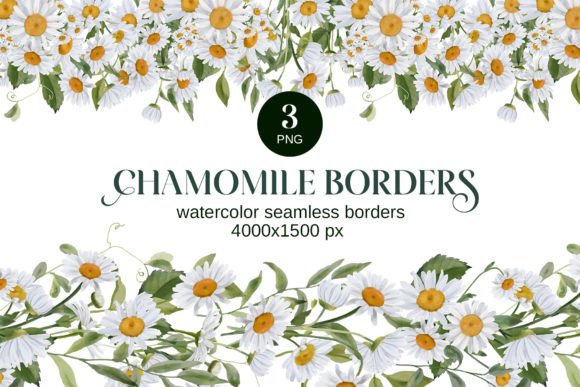Elevating Digital Design with Watercolor Chamomile Borders PNG Clipart